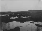 'Bilder från Hornborgasjön från: R. Söderberg: '' Hornborgasjön och dess fornsjöområde'' Del I 1932. ::  :: Hornborgaviken efter sänkningen, ett marskland har bildats genom erosion i torvlagret. Sjösänkning. ::  :: Ingår i serie med fotonr. 4245:1-35.'