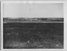 'Bilder från Hornborgasjön från: R. Söderberg: '' Hornborgasjön och dess fornsjöområde'' Del I 1932. ::  :: Vy över  strand och sjö med vass. Sjösänkning. ::  :: Ingår i serie med fotonr. 4245:1-35.'