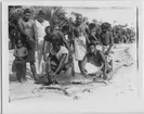 '6 män och 4 barn omger 1 haj liggandes  på stranden. Huvudet bearbetas. Kläder. Klädsel. ::  :: Ingår i serie med fotonr. 4352:1-7. Se även fotonr. fotonr. 4349-4351.'