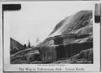 'National Park, Wyoming. :: Sinterterasser. :: På fotografiets framsida: ''The way to Yellowstone Park - Union Pacific, Pulpit terrace, Mammoth hot springs.'' ::  :: Serie fotonr 4905-4915.'