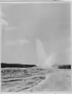 '''Old faithful'' Gejser, Yellowstone National Park, Wyoming. ::  :: Samma gejser som fotonr. 4909. Serie fotonr 4905-4915.'