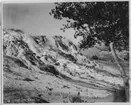 'National Park, Wyoming. :: Jupiter Terrace, sinterterass. :: ''Yellowstone National Park scene courtesy of the Northen Pacific railway. ::  :: Serie fotonr 4905-4915.'