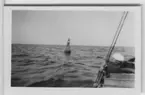 'Akkaexpedition, Bilder från Läsö och från båten (Skandia, FC51, FG51). ::  :: Större boj till havs fotograferad från en båt, med delar av denna synlig i förgrunden. ::  :: Ingår i serie 5089:1-63. Se även fotonr 2401-2453.'