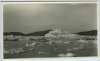 'Upernivik ''Tafjord.'' Stora isflak och isberg och berget ''Kaersorsuak'' . Står om fotot i Frits Johansens dagbok. ::  :: Enligt kuvertet som negativet låg i ''Trip to W-Greenland VI''. ::  :: Ingår i serie Fotonr. 5217:1-103. Se även hela fotonr. 5202-5218 med bilder från Frits Johansen.'