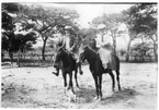 'Diverse fotografier från bl.a. dåvarande Nordrhodesia, nu Zambia, tagna av Konsul Magnus Leijer. ::  :: Man och kvinna sittandes på varsin häst, framför dem sitter en liten hund. I bakgrunden finns staket och flertal träd,  skymtar gör byggnader och skog. ::  :: Se även fotonr. 1488.'