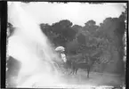 'Diverse fotografier från bl.a. dåvarande Nordrhodesia, nu Zambia, tagna av Konsul Magnus Leijer. ::  :: Kvinna och man sittandes under parasoll i en vagn bakom en häst. I bakgrunden, plantering, träd och palmer. ::  :: Dålig kvalité, svårt se motivet.'