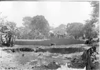 'Diverse fotografier från bl.a. dåvarande Nordrhodesia, nu Zambia, tagna av Konsul Magnus Leijer. ::  :: 1 st kvinna, 1 st bebis och 1 st man sittande i vagn dragen av en häst. Ekipaget stående på en tegelmurad bro, i ena änden står 1 st man. Från avstånd.'