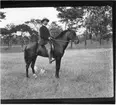 'Diverse fotografier från bl.a. dåvarande Nordrhodesia, nu Zambia, tagna av Konsul Magnus Leijer. ::  :: En man till häst fotograferad från sidan, på marken ligger även en hund och ytterligare ett djur. I bakgrunden är skog synligt.'