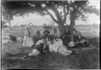 'Diverse fotografier från bl.a. dåvarande Nordrhodesia, nu Zambia, tagna av Konsul Magnus Leijer. ::  :: En grupp m sex män och tre kvinnor sittandes i gräs intill ett picnic-bord med vinflaskor. I bakgrunden öppet landskap m fåtal träd.'