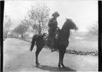 'Diverse fotografier från bl.a. dåvarande Nordrhodesia, nu Zambia, tagna av Konsul Magnus Leijer. ::  :: En man sittandes på en häst som rör sitt huvud. Ekipaget stående på en grusad allé, fotograferad snett från sidan. I bakgrunden, berg och vatten.'
