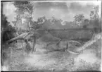 'Diverse fotografier från bl.a. dåvarande Nordrhodesia, nu Zambia, tagna av Konsul Magnus Leijer. ::  :: 1 st man på en cykel vid en fälld elefant som ligger på marken. Bakom elefanten står 1 st pojke.'