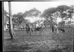 'Diverse fotografier från bl.a. dåvarande Nordrhodesia, nu Zambia, tagna av Konsul Magnus Leijer. ::  :: 1 st kvinna, 1 st man och 1 st flicka sittande på varsin åsna. Flickans åsna hålls av 2 st män. Ytterligare 3 st män är synliga. Även byggnader.'