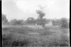 'Diverse fotografier från bl.a. dåvarande Nordrhodesia, nu Zambia, tagna av Konsul Magnus Leijer. ::  :: Vy över natur med 2 byggnader och skog i bakgrunden, fotograferade från avstånd. I mitten sitter en grupp människor vid ett träd m grytor hängande i det.'