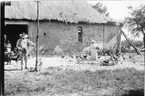 'Diverse fotografier från bl.a. dåvarande Nordrhodesia, nu Zambia, tagna av Konsul Magnus Leijer. ::  :: En kvinna och en man framför en tegelbyggnad med halmtak. Kvinnan matar fåglar, mannen har en apa i koppel, kranium med horn intill väggen och hundar är även synliga.'