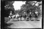 'Diverse fotografier från bl.a. dåvarande Nordrhodesia, nu Zambia, tagna av Konsul Magnus Leijer. ::  :: Tre män och en kvinna till häst samt en man och en kvinna på en varsin åsna. Bredvid står en hund. Samtliga placerade på en grusväg kantad av träd.'