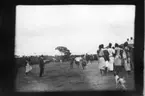 'Diverse fotografier från bl.a. dåvarande Nordrhodesia, nu Zambia, tagna av Konsul Magnus Leijer. ::  :: Grynigt fotografi över en folkmassa tittande på ett fåtal springande personer, en man i kostym står framför dem. I förgrunden står också en hund.'