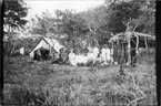 'Diverse fotografier från bl.a. dåvarande Nordrhodesia, nu Zambia, tagna av Konsul Magnus Leijer. ::  :: 3 st män, 2st kvinnor och 1 st flicka kring ett dukat bord, bakom dem står 3 st män. Även 2 hästar, samtliga framför ett tält.'