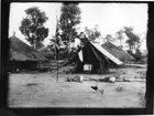 'Diverse fotografier från bl.a. dåvarande Nordrhodesia, nu Zambia, tagna av Konsul Magnus Leijer. ::  :: 2 fällda antilop-djur bredvid en flaggstång med brittiska flaggan, i bakgrunden är tält och hyddor synliga.'