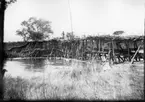 'Diverse fotografier från bl.a. dåvarande Nordrhodesia, nu Zambia, tagna av Konsul Magnus Leijer. ::  :: En man gående över träbro, byggd av trästammar, ledande över vatten från en strand till en annan.'