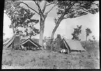 'Diverse fotografier från bl.a. dåvarande Nordrhodesia, nu Zambia, tagna av Konsul Magnus Leijer. ::  :: 1 person sittande läsande i ett tält, utanför står 2 män, på andra sidan dem, finns ytterligare ett tält. I bakgrunden gräs och träd.'