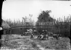 'Diverse fotografier från bl.a. dåvarande Nordrhodesia, nu Zambia, tagna av Konsul Magnus Leijer. ::  :: En man och en pojke står och tittar på ett flertal kor och getdjur(?). I bakgrunden en hydda och ett högt staket.'