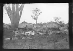 'Diverse fotografier från bl.a. dåvarande Nordrhodesia, nu Zambia, tagna av Konsul Magnus Leijer. ::  :: 1 st man och 1 st kvinna sittande med varsin hund i knäet vid ett dukat bord utomhus. Bakom dem står ett flertal män. Även åsna och hyddor synliga.'