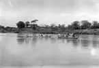 'Diverse fotografier från bl.a. dåvarande Nordrhodesia, nu Zambia, tagna av Konsul Magnus Leijer. ::  :: Ett flertal personer ifärd på vatten i 2 långsmala båtar, bl.a. kvinna med barn i aktern på den bakre båten. Båtarna håller packning, bl.a. en säng.'