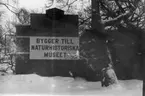 'Tillbyggnaden av Göteborgs Naturhistoriska Museum februari 1979. Skylt ''Bygger allt -överallt - Skånska cementgjuteriet bygger till Naturhistoriska muséet''. Byggbaracker bakom skylten, snö. ::  :: Ingår i serie med fotonr. 5527:69-216.'