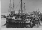 'Båtar i hamn. ''Olika fiskebåtar vid kaj i hamnen i Sfax.'' På baksidan står ''N 30. -Groupe de Bateaux de pêche différente en repos dans le port de SFAX.'' ::  :: Ingår i serie 5671:1-12 varav vissa bilder finns i basutställningen.'