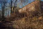 'Exteriörbild av Göteborgs Naturhistoriska Museum. Byggnaden fotograferade från baksidan, d.v.s. långsidan innifrån Slottsskogen. ::  :: Ingår i serie med fotonr. 6065:1-12 med vyer med Göteborgs Naturhistoriska museum.'