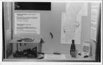 'Utställningsmonter om rödbrun och röd skogssnigel. Monterrubrik ''Ännu en rödbrun snigel. . .'' Tillkom hösten 1991 som tillfällig utställningsmonter. ::  :: Ingår i serie med fotonr. 6762:1-29 med bilder till årstryck 1991-1993.'