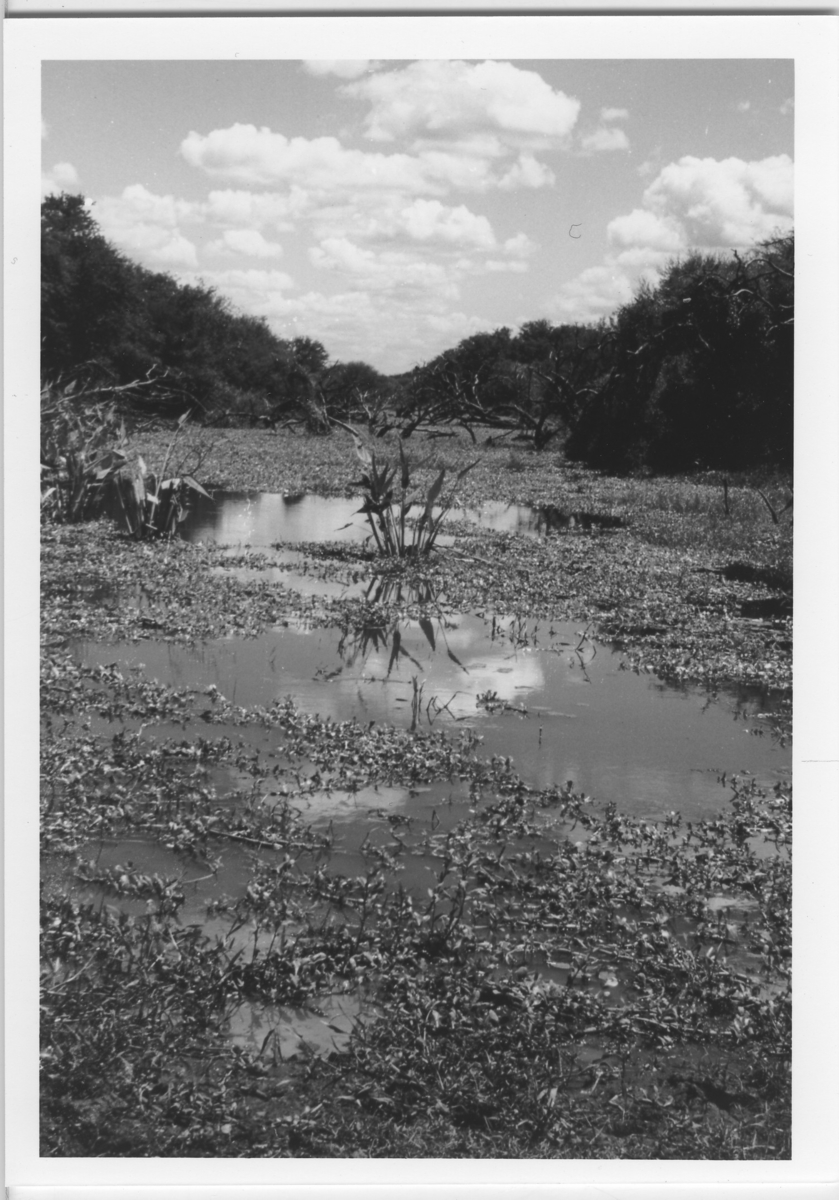 'Bilder tagna under Paraguayprojektet. ::  :: Ingår i serie med fotonr. 6764:23-39. ::  :: Ingår i serie med fotonr. 6764:1-39.'