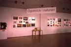 'Utställning ''Fototävling'' på Göteborgs Naturhistoriska museum. ::  :: 3 posters med foton. Titel ''Ögonblick i Naturen''. ::  :: Ingår i serie med fotonr. 6949:1-4.'
