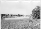 'Bildtext: ''Havsvik med vassvegetation. Riktning 0.'' Fotograferat invid ''runtgående'' väg i närheten av hus, på Skeppstadsholmen. Vy. ::  :: Ingår i serie med fotonr. 6970:1-1125, dokumentation av Hisingens naturgeografi, visande landskapsformerna i stora drag och gjord inför exploateringen av området. Platserna för fotograferingen finns utsatta på karta i skala 1:4000 som finns på Göteborgs Naturhistoriska musem. Fotoriktningen mättes med kompass i gammalgrader.'