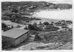 'Bildtext: ''Havsvik med badplats. Sandstrand. Riktning 226.'' :: Vy över viken med hus, stugor liggande på berghällar ner mot havet. Båtar ligger invid strand. Enbuskvegetation. ::  :: Ingår i serie med fotonr. 6970:1-1125, dokumentation av Hisingens naturgeografi, visande landskapsformerna i stora drag och gjord inför exploateringen av området. Platserna för fotograferingen finns utsatta på karta i skala 1:4000 som finns på Göteborgs Naturhistoriska musem. Fotoriktningen mättes med kompass i gammalgrader.'