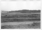 'Bildtext: ''Sedimentyta. Riktning 188.'' I förgrunden grusväg, öppen gräsmark och stenmur med staket. Vy ut över öppna marker ev. betesmark. I fonden delvis trädklädda berg. Stengärdesgård. ::  :: Ingår i serie med fotonr. 6970:1-1125, dokumentation av Hisingens naturgeografi, visande landskapsformerna i stora drag och gjord inför exploateringen av området. Platserna för fotograferingen finns utsatta på karta i skala 1:4000 som finns på Göteborgs Naturhistoriska musem. Fotoriktningen mättes med kompass i gammalgrader.'