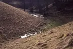 'Bildtext: ''Ravin.'' ::  :: Ingår i serie med fotonr. 7024:1-19 med bilder från skred i Lärjedalen.'