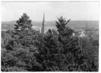 'Bildtext: ''Bild 196. Utsikt från Överås mot Örgryte nya kyrka. Till vänster Abies lowiana, 65 år, 53 cm i diameter, 23 meter hög. Västra Nordamerika. Till höger Pseudotsuga taxifolia (Douglasgran), 65 år, 63 cm i diameter, 22 meter hög. Västra Nordamerika.'' Vy över del av Örgryte med kyrkan synlig. I förgrunden granarna. ::  :: Fotonr. 7046:186-212 indelade som ''Utländska träd'' i Göteborgs län och Bohus län''. Ingår i serie med fotonr. 7046:1-383, 7047:1-33 och 7048:1-67 med bilder från  Länsjägmästare John Lindners bildarkiv.'