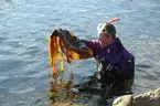 'Kennet Lundin dyker för att undersöka den marina miljön. Bild på fingertare. :: Personal från Göteborgs Naturhistoriska Museum på plats för att ta :: bilder till boken om Pater Noster skärets biologi och geologi, inför invigningen'