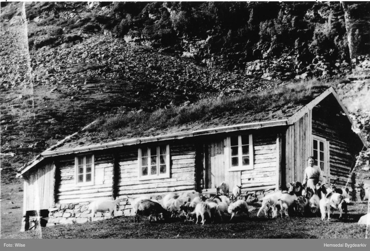 Margit Bakke på Bakkestølen, 83/6  i 1927.