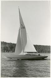 "'Anita' äg. R. Forshell" "77"