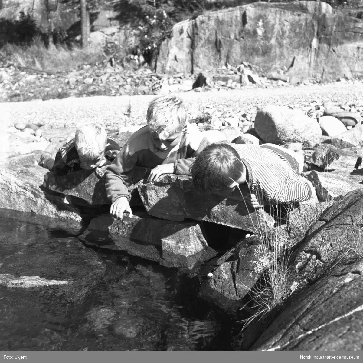 Hydrostranda, situasjonsbilde. Barn som fisker krabbe.