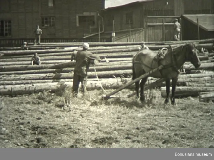 1)	Gammalt rives.  Bävebäck; huset vid Kyrkogårdsgatan.
0715 Gamla boningshuset "Bävebäck",  beläget strax söder om SJ bangård och intill gamla Strömstadsvägen, eller ungefär där HSB-huset Strömstadsvägen 10 nu ligger i kv.  Rydholm,  under rivning.
0722 Huset  "Bävebäck" efter rivning;  i bakgrunden synes sköterske- och läkarbostäderna på lasarettsområdet.
0726 Överläkarbostaden på lasarettsområdet.
0734 Rivning av bostadshuset Kyrkogårdsgatan 19 eller vaktmästarebostaden på Norra Kyrkogården.

2)        Nytt bygges.  Reningsverket,   turiststationen och Thordénlines.
0800 Pålning för avloppsreningsverket vid Skansberget; magasinen har tillhört gamla tunnfabriken vid Bävebäcksgatan.
0827 Nybyggnad för turistbyrå och taxistation vid Norra Hamngatan och Bäveån omedelbart väster om Järnbron.
0832 Nybyggnad av kontorshus för Thordénrederierna vid Aspekullen, Strömstadsvägen 35, sedermera kontor för Uddevalla Tingsrätt.

3)        Stadsträdgården flyttar till Gustafsberg.
0851 Ladugårdsbyggnaden vid Gustafsberg.
0900 I bakgrunden Bodelebukten;  tomtplatsen för nya stadsträdgården.
0911 T.h.  stadsträdgårdsmästaren Axel Hansén. Dessutom "Nytorparn" Helge Andersson samt okänd man.

4) Provborrning med nya borrsatsen.
0946 Ny borrsats för markundersökningar provas;
T.h. arbetsledaren Göte Karlsson vid Gatukontoret

5)        Asfaltering av Asplundsgatan.
1027 Asfalteringsarbeten pågår nära korsningen Asplundsgatan - Södra Drottninggatan;  i bakgrunden husen i kv. Knape och t.v. huset i kv. Ängön, som tidigare inrymde Kihlmans Speceriaffär.