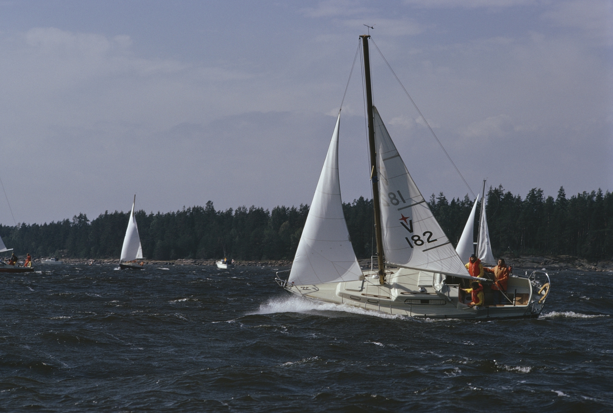 Segelbåtar på Vänern. I förgrunden en Albin Vega.