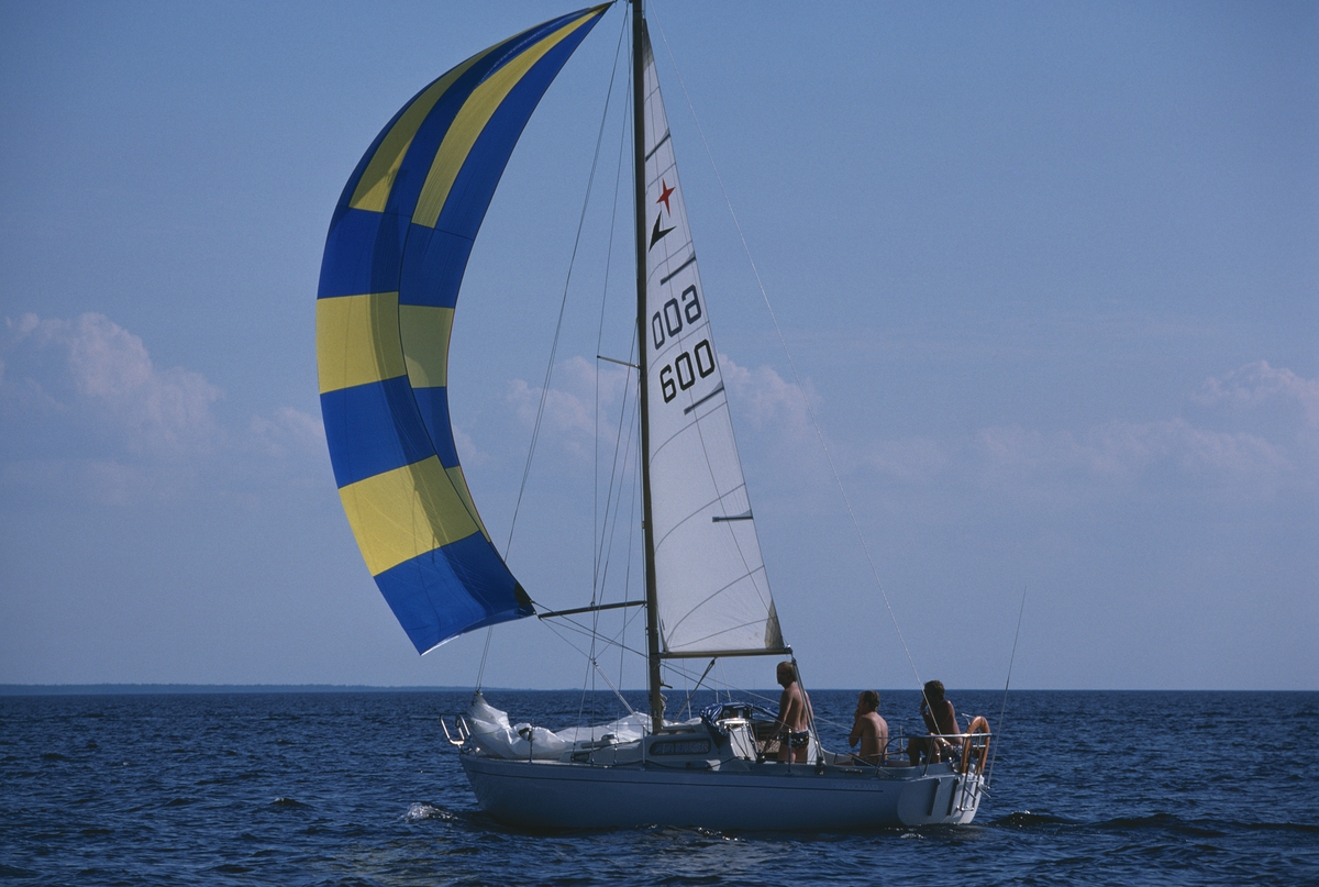 Albin Viggen seglar för spinnaker