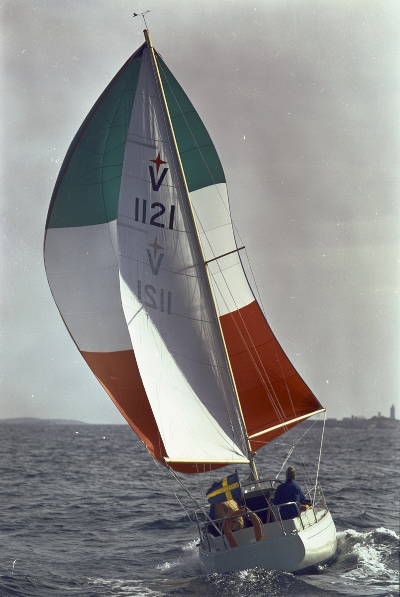 Albin Vega