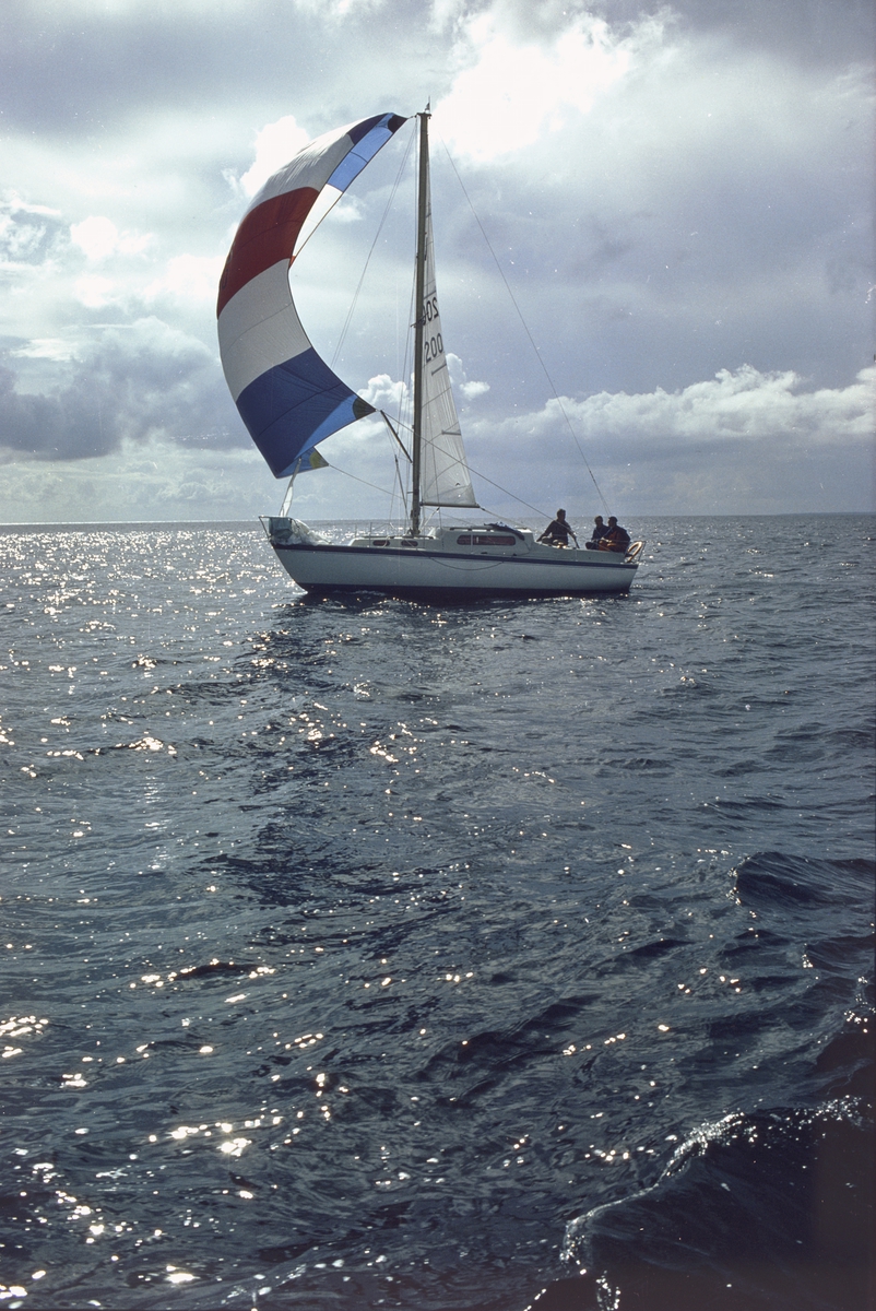 En Albin Vega seglar för spinnaker.