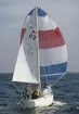 Albin Viggen seglar för spinnaker