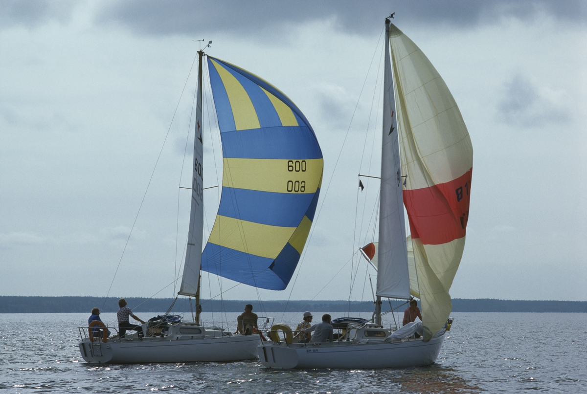Två Albin Viggen seglar för spinnaker