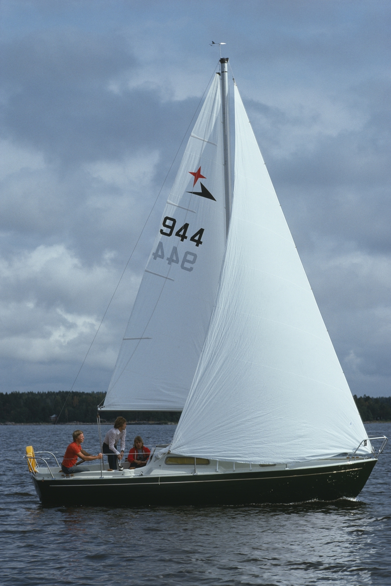 Albin Viggen